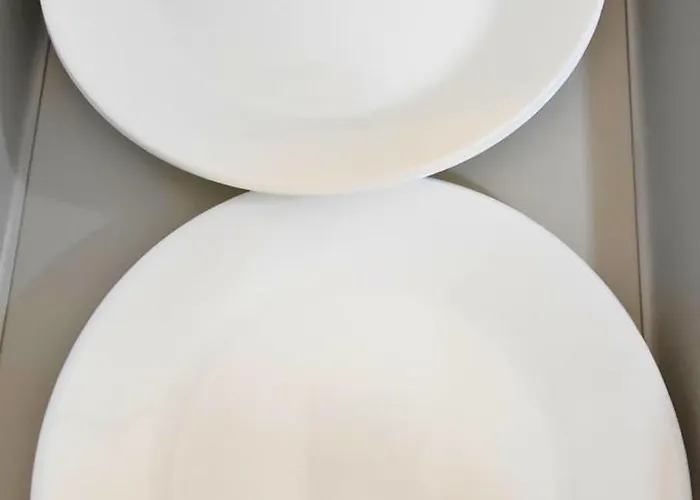 Ynfinity 瓦伦西亚