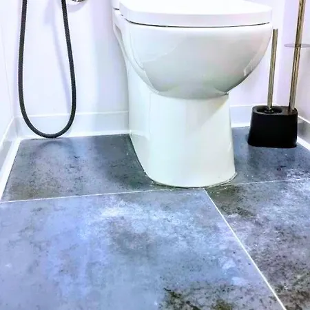 Ynfinity فالنسيا