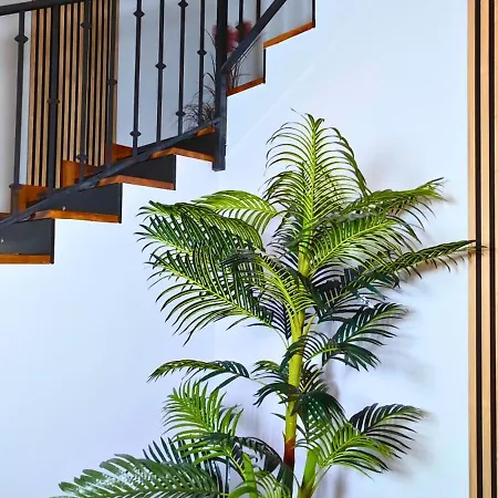 Apartmanhotel Ynfinity 3*