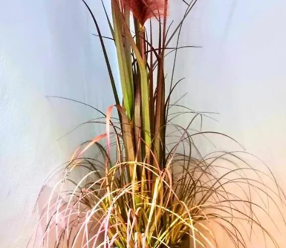 Ynfinity 발렌시아