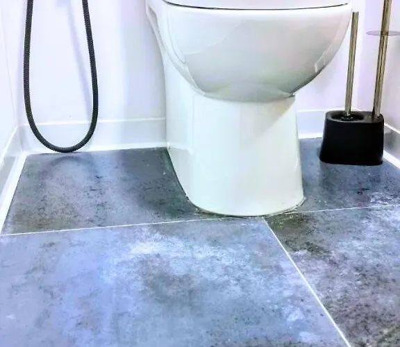 Ynfinity 발렌시아